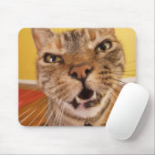 Tapis De Souris Un petit chat plein d'humour est assis sur un tabo (Avec souris)