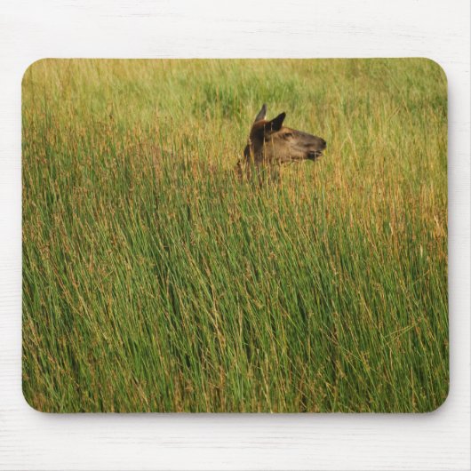 Tapis De Souris Un pic rapide Mousepad (Devant)