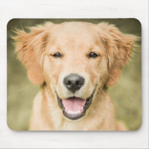 Tapis De Souris Un portrait d'un chiot de golden retriever