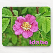 Tapis De Souris Un Rose sauvage - Idaho (Devant)