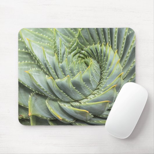 Tapis De Souris Un Succulent vert et blanc (Avec souris)