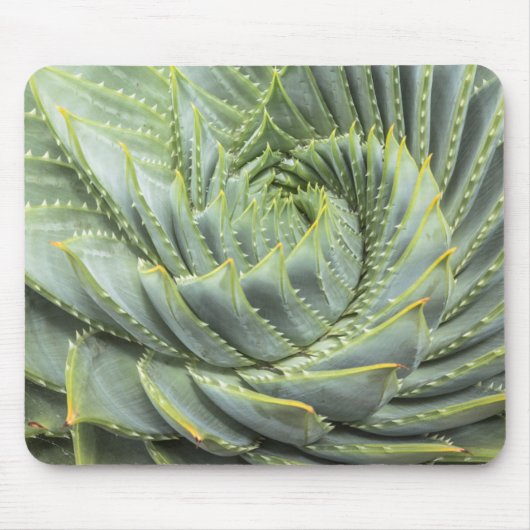Tapis De Souris Un Succulent vert et blanc (Devant)