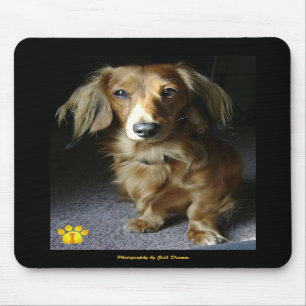 Tapis De Souris Un teckel distingué Mousepad