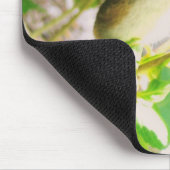 TAPIS DE SOURIS UN VÉRITABLE MOUSEPAD (Coin)