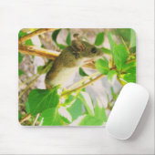 TAPIS DE SOURIS UN VÉRITABLE MOUSEPAD (Avec souris)