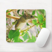 TAPIS DE SOURIS UN VRAI MOUSEPAD ! (Avec souris)