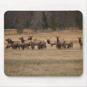 Tapis De Souris Un wapiti dans le Mousepad sauvage