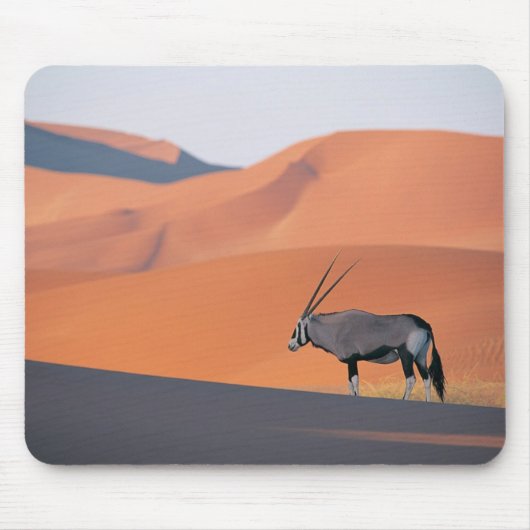 Tapis De Souris Une antilope oryx solitaire. (Devant)