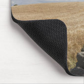 Tapis De Souris Une barrière de barbelé construite le long d'une (Coin)