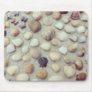 Tapis De Souris Une collection de coquillages