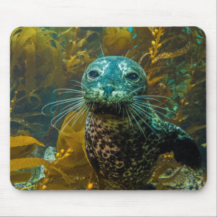 Tapis De Souris Une forêt curieuse Santa Barbara de varech de