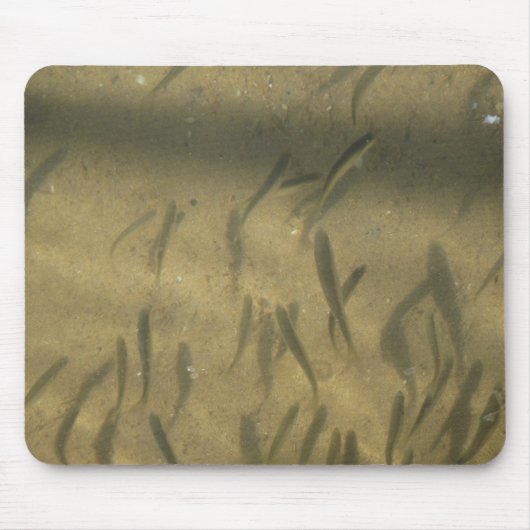 Tapis De Souris une histoire louche (Devant)
