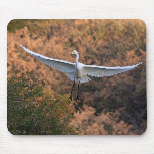 Tapis De Souris Une mouche d'aigrette (Devant)