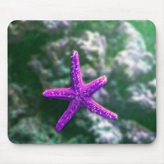 Tapis De Souris Une Plage Rocky Starfish violette (Devant)