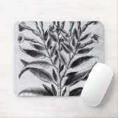 Tapis De Souris Une plante de tabac, 1622 (Avec souris)