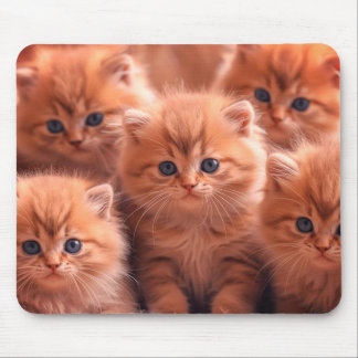 Tapis De Souris Une portée de chatons mignons sur ordinateur porta