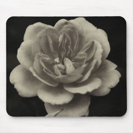 Tapis De Souris Une rose pour la bien-aimée.... (Devant)