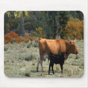 Tapis De Souris Une vache et son veau....