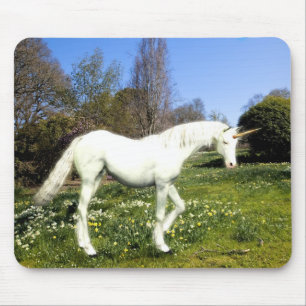 Tapis De Souris Unicorne