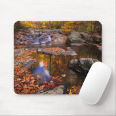 Tapis De Souris Upper Whiteoak Falls, Parc national de Shenandoah, (Avec souris)