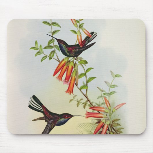 Tapis De Souris Urochroa Bougieri (Devant)