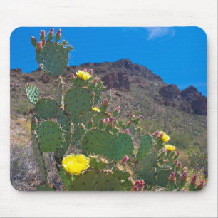 Tapis De Souris USA, Arizona. Cactus Dans Les Collines