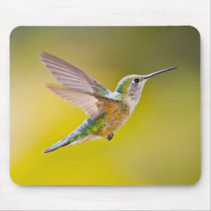 Tapis De Souris USA, Colorado, Summit County, Heeney. Vue de côté