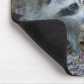 Tapis De Souris USA, Floride, Sanibel, Ding Darling National (Coin)