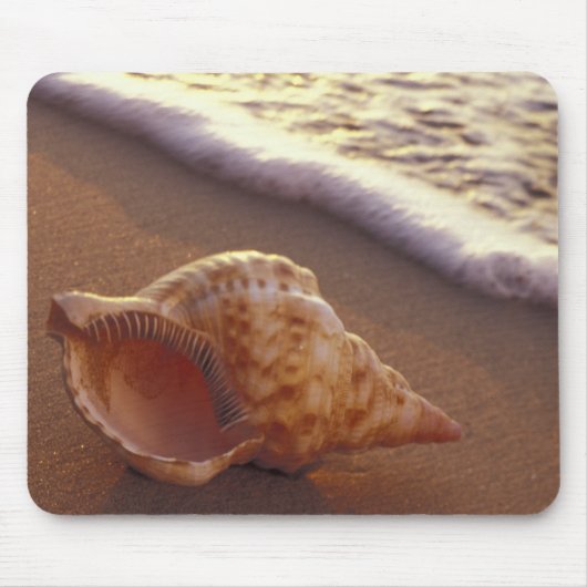 Tapis De Souris USA, Hawaii, Maui, Kihei, Lumière du soir sur (Devant)