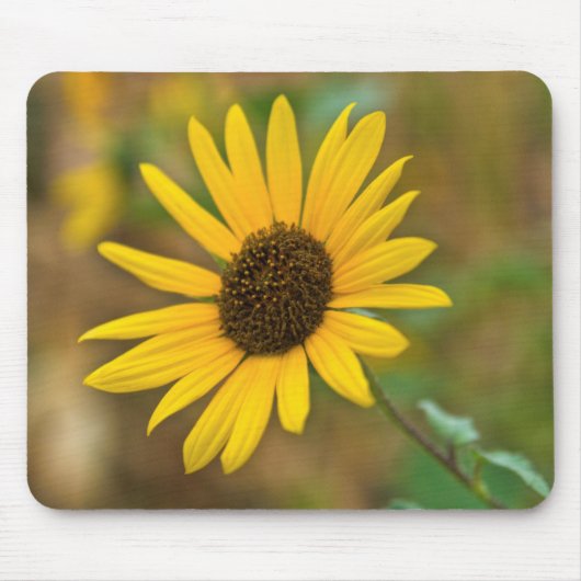 Tapis De Souris USA, Kansas. Tournesol sauvage (Devant)