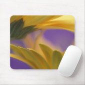 Tapis De Souris USA, Pennsylvanie. Filles de Gerbera jaune, près (Avec souris)