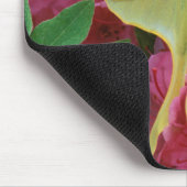 Tapis De Souris USA, Pennsylvanie. Luna moth sur clematis rose (Coin)