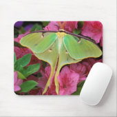 Tapis De Souris USA, Pennsylvanie. Luna moth sur clematis rose (Avec souris)