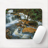 Tapis De Souris USA, Pennsylvanie, Ricketts Glen State Park (Avec souris)
