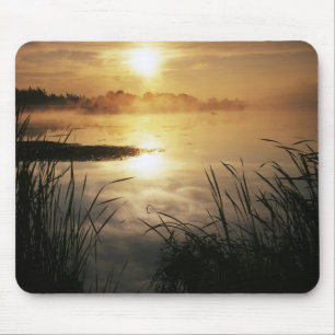 Tapis De Souris USA, Washington, île Lopez, brouillard matinal sur