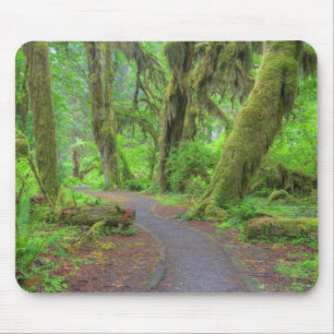 Tapis De Souris USA, Washington, Olympic National Park, Hoh Rain