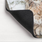 Tapis De Souris USA, Wyoming, Parc national de Yellowstone, Bobcat (Coin)