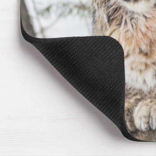 Tapis De Souris USA, Wyoming, Parc national de Yellowstone, Bobcat (Coin)