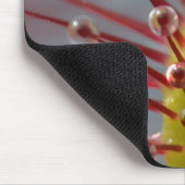 Tapis De Souris Usine carnivore Mousepad de Sundew (Coin)