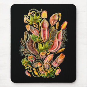 Tapis De Souris Usines de broc