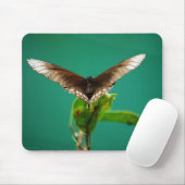 Tapis De Souris V Mousepad (Avec souris)