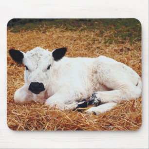 Tapis De Souris Vache à bébé, veau