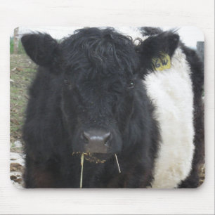 Tapis De Souris Vache à ventre nue mangeant du foin