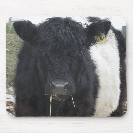 Tapis De Souris Vache à ventre nue mangeant du foin (Devant)