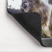Tapis De Souris Vache curieuse (Coin)