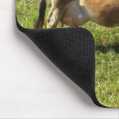 Tapis De Souris Vache de Jersey dans les îles Anglo-Normandes (Coin)