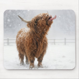 Tapis De Souris Vache des Highlands écossaise léchant des flocons 