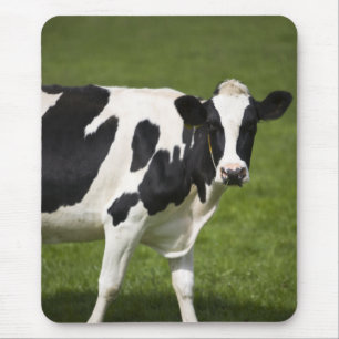 Tapis De Souris Vache frisonne