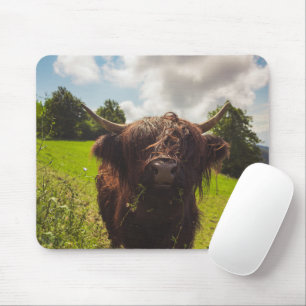 Tapis De Souris Vache noire pâturage vert champ soleil
