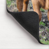 TAPIS DE SOURIS VACHES (Coin)